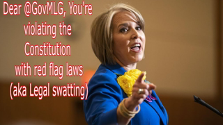Dear @GovMLG, You're violating the Constitution with red flag laws (Legal swatting)Via @RunNGunsNews